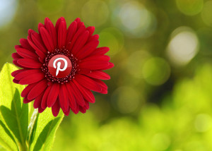 Pros y contras del uso de las Redes Sociales en tu negocio-Pinterest